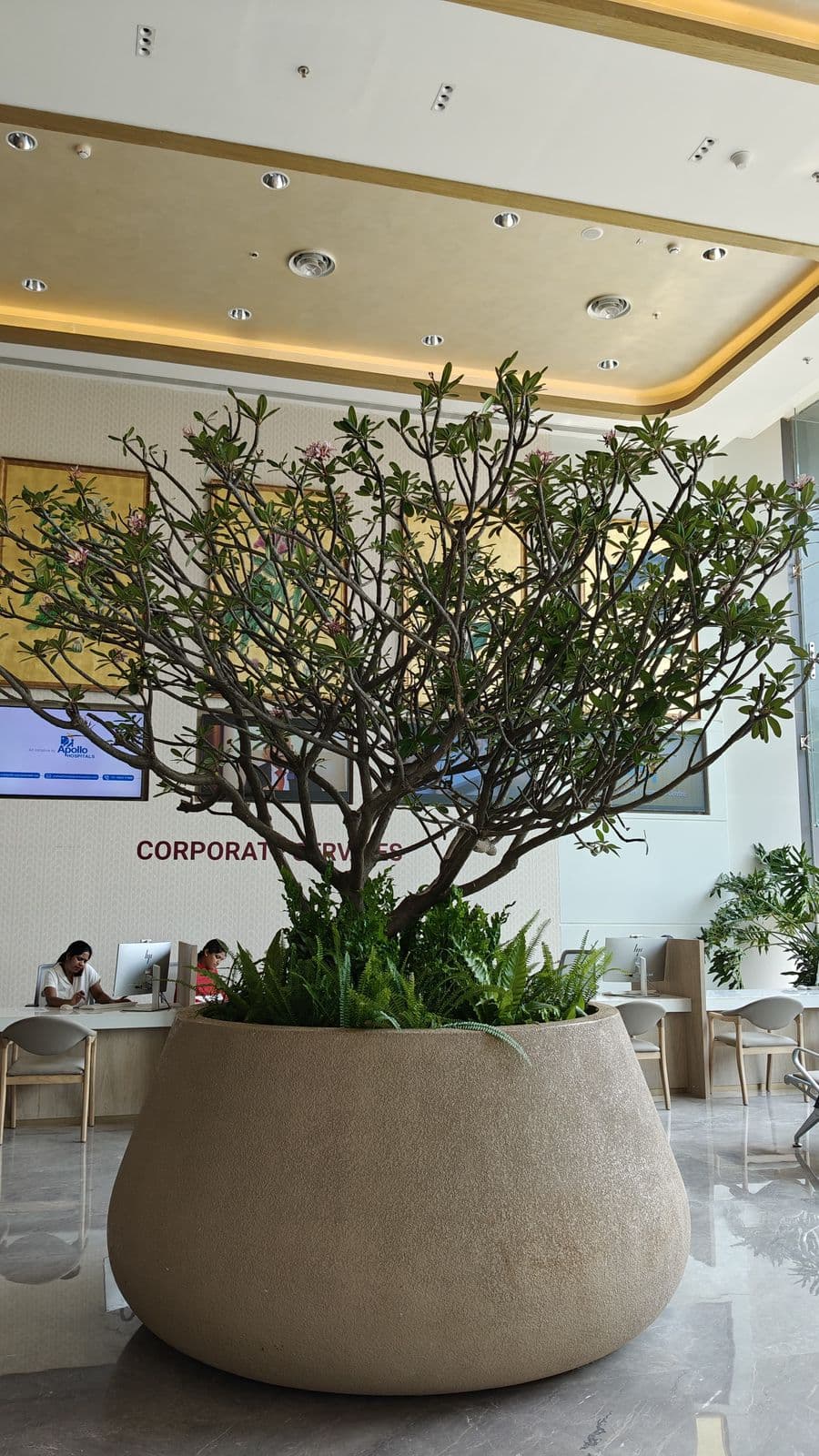 Large custom FRP planter with tree and underplanting in a bright corporate lobby